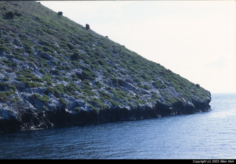 2002Galapagos/110032