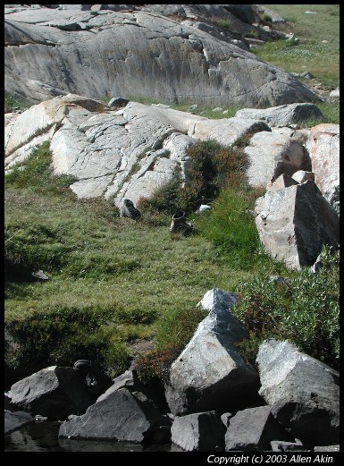 2003TransSierra/010017